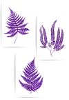  set of 3 purple fern art decor