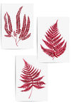 maroon fern prints