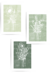 wildflower prints in sage green colours