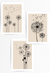 set of 3 black and beige dandelion wall art