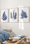 blue fern wall prints set of 3