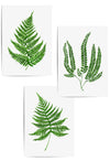 3pc green fern art pri ts