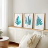 Teal Blue Fern Wall Art | Teal Artwork | Teal Living Room