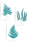 teal fern artwork