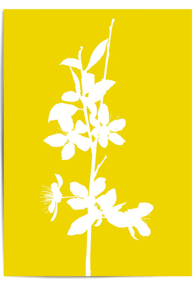 yellow spring flowers print